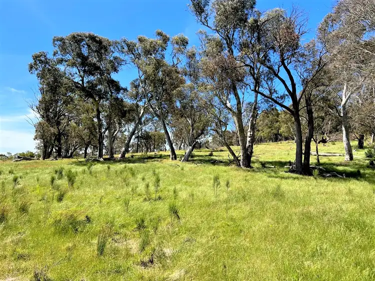 Fifth view of Homely rural property listing, 763 Mountain Ash Road, Gundary Via, Goulburn NSW 2580