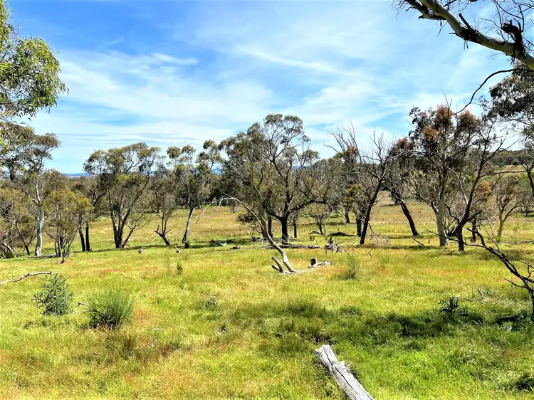 Sixth view of Homely rural property listing, 763 Mountain Ash Road, Gundary Via, Goulburn NSW 2580