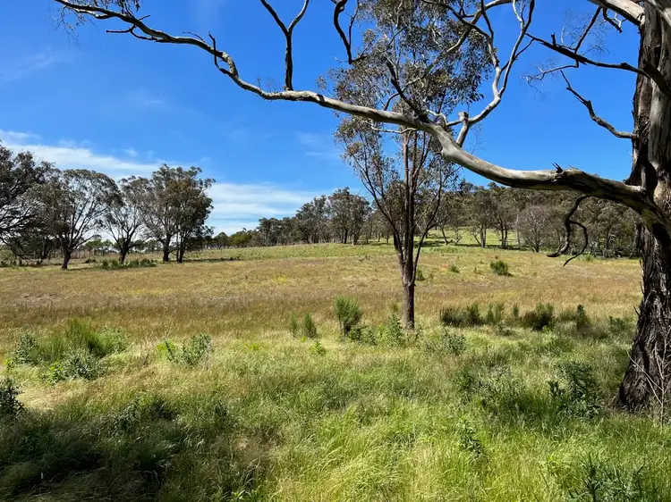 Seventh view of Homely rural property listing, 763 Mountain Ash Road, Gundary Via, Goulburn NSW 2580