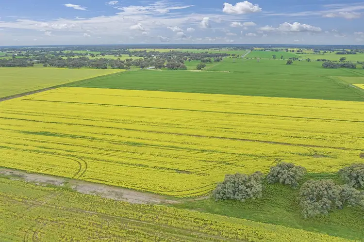 Seventh view of Homely rural property listing, 1297 Murray Valley Highway, Echuca West VIC 3564