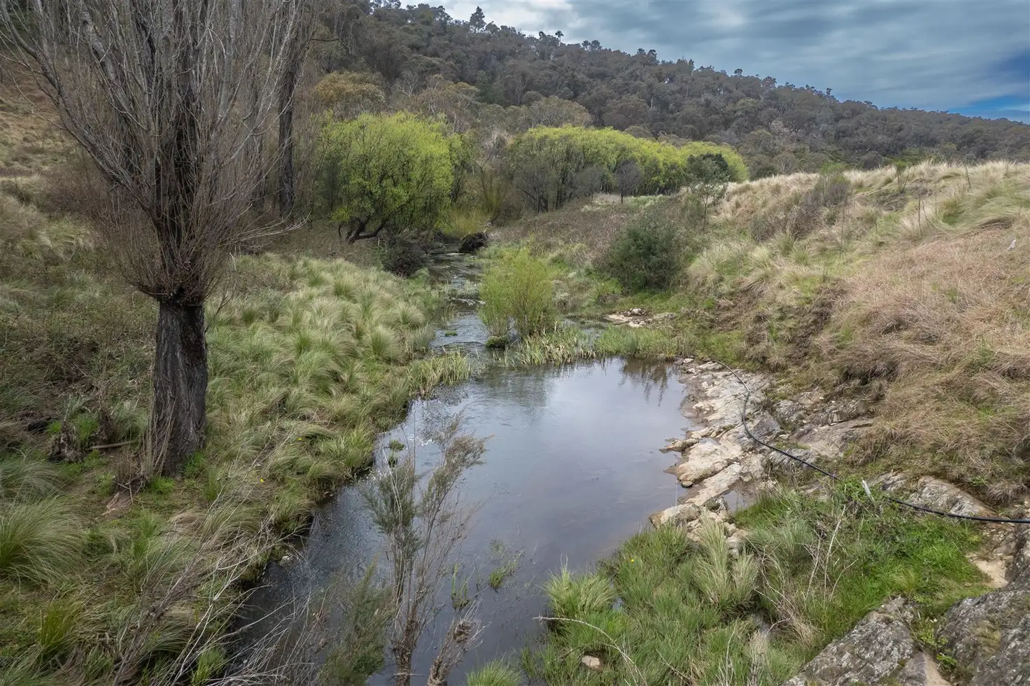 Main view of Homely rural property listing, 172 Back Arm Road, Middle Arm Via, Goulburn NSW 2580