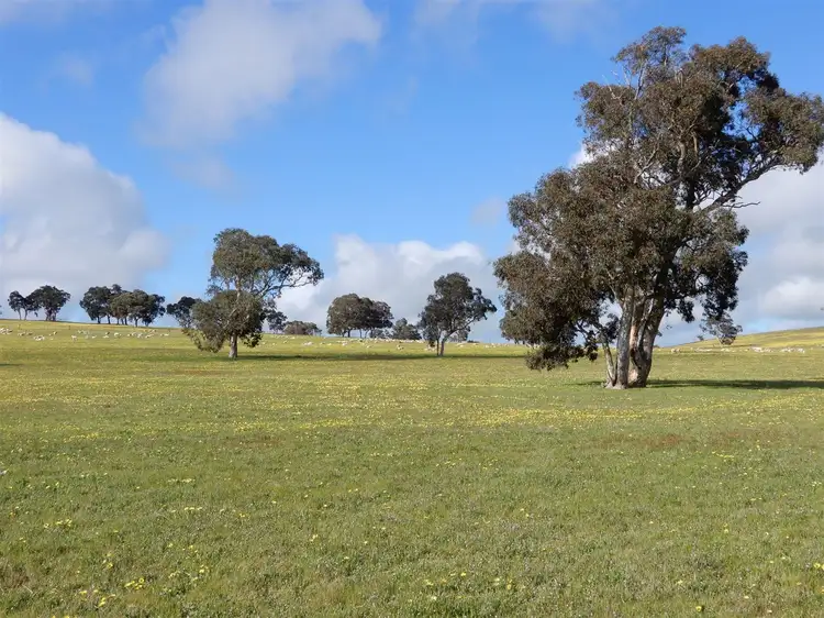 Second view of Homely rural property listing, 260 Gerritsens Road, Naracoorte SA 5271