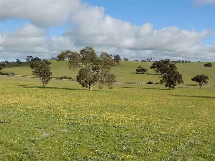 Fifth view of Homely rural property listing, 260 Gerritsens Road, Naracoorte SA 5271