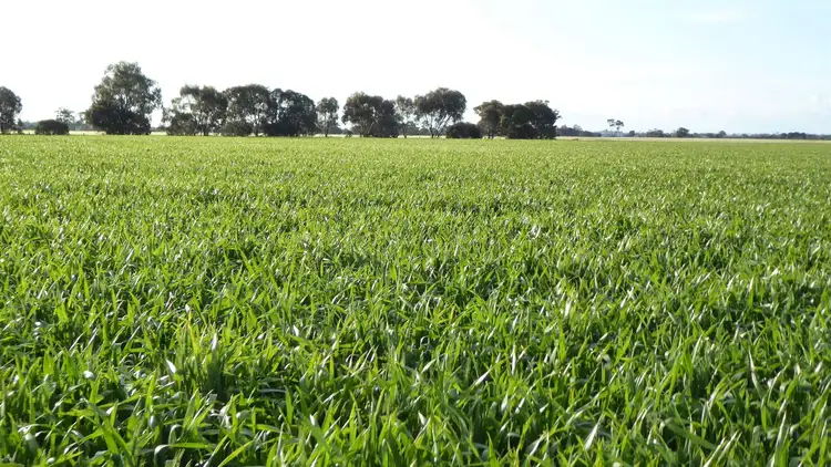 Third view of Homely rural property listing, Sec 152 Rowney Road, Bordertown SA 5268