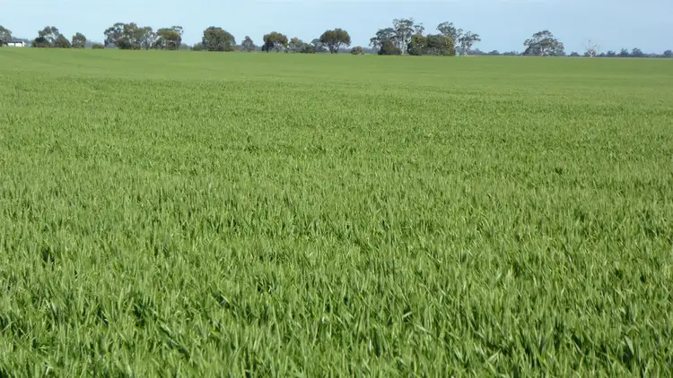 Sixth view of Homely rural property listing, Sec 152 Rowney Road, Bordertown SA 5268