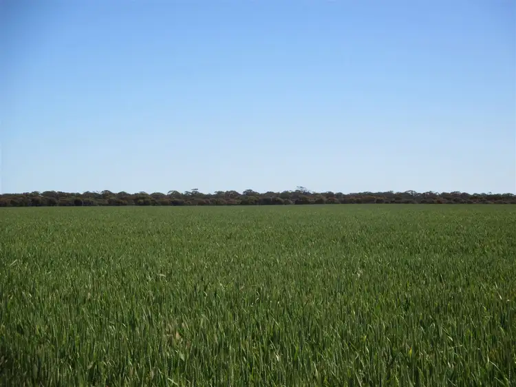 Main view of Homely rural property listing, Contact Agent for address, Lake King WA 6356