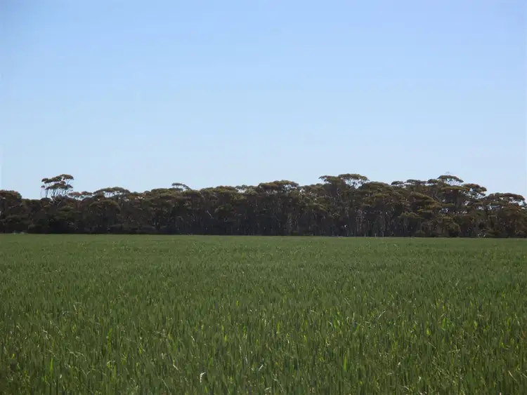 Second view of Homely rural property listing, Contact Agent for address, Lake King WA 6356