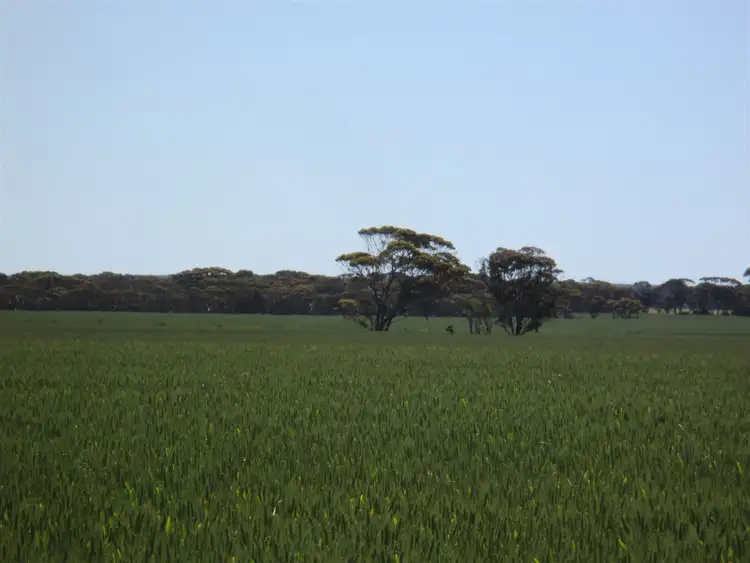 Third view of Homely rural property listing, Contact Agent for address, Lake King WA 6356