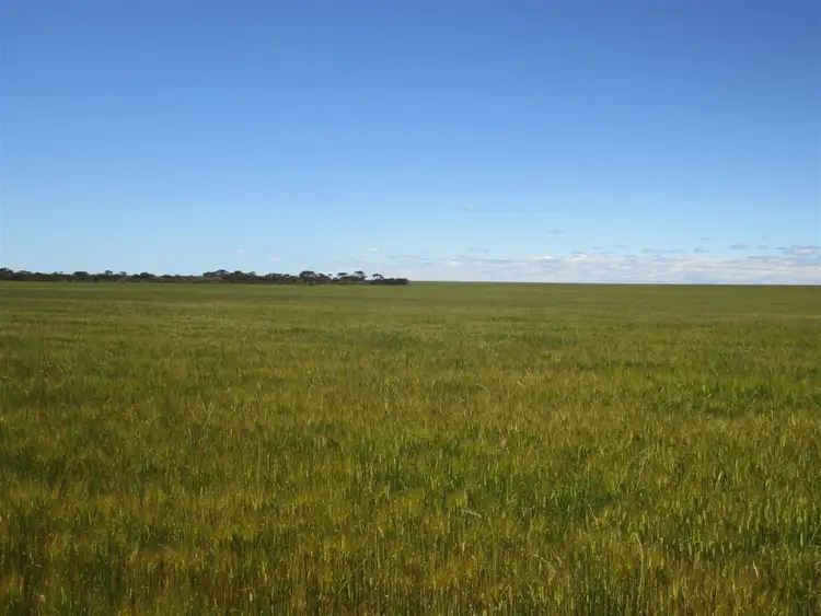 Fifth view of Homely rural property listing, Contact Agent for address, Lake King WA 6356