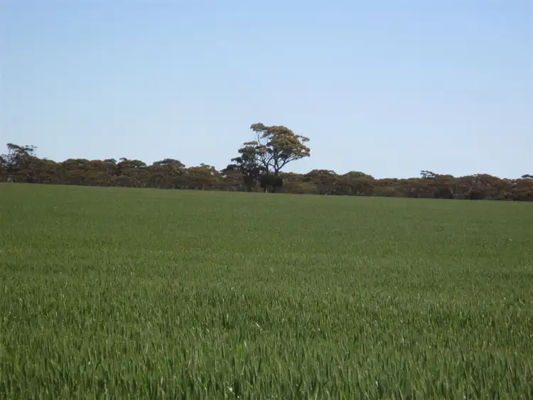 Seventh view of Homely rural property listing, Contact Agent for address, Lake King WA 6356