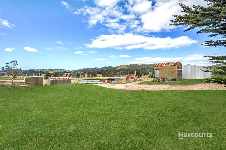 Sixth view of Homely rural property listing, 530 Nook Road, Nook TAS 7306