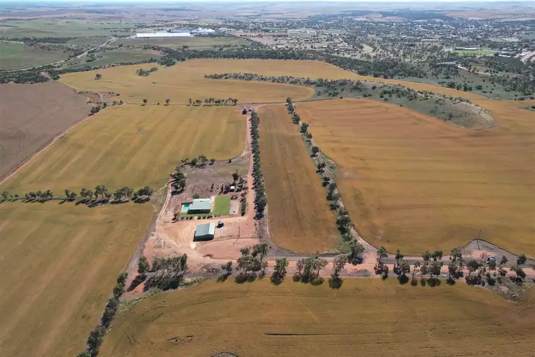 Fourth view of Homely rural property listing, 152 Harvey Road, Northampton WA 6535