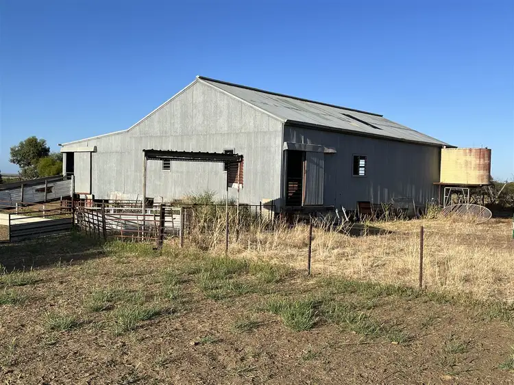 Fifth view of Homely rural property listing, Mulji Farm Mulji Road, Koorda WA 6475