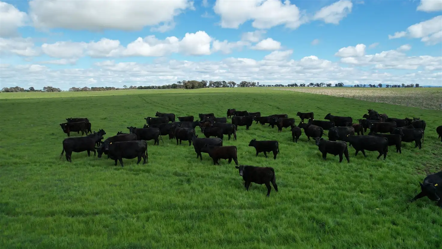 Main view of Homely rural property listing, 3064 Western Highway, Ercildoune VIC 3352