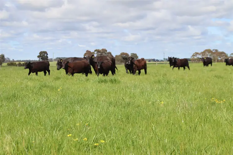 Second view of Homely rural property listing, 3064 Western Highway, Ercildoune VIC 3352