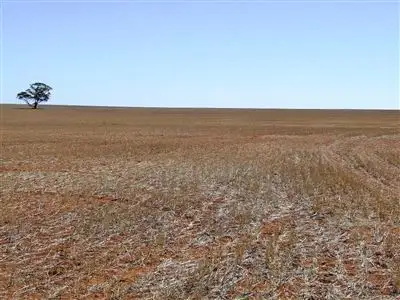 Sixth view of Homely rural property listing, Address available on request