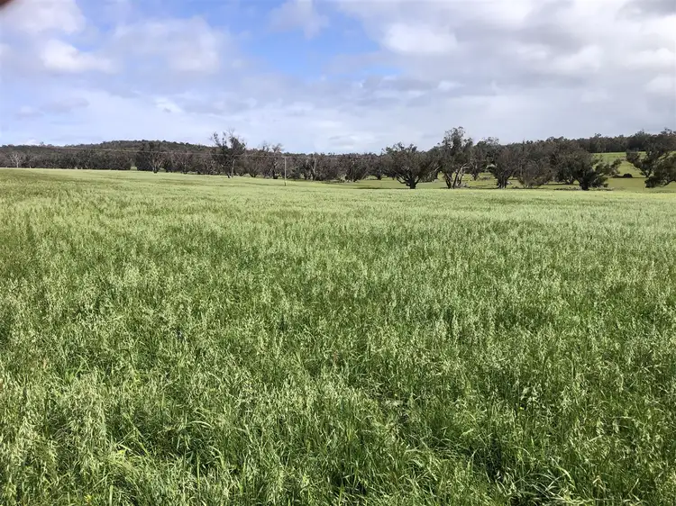 . " Snowdon" Pretty Gully Road, Chowerup WA 6244