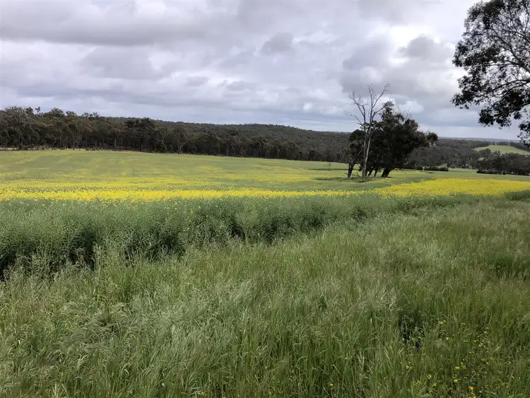 Second view of Homely rural property listing, . " Snowdon" Pretty Gully Road, Chowerup WA 6244