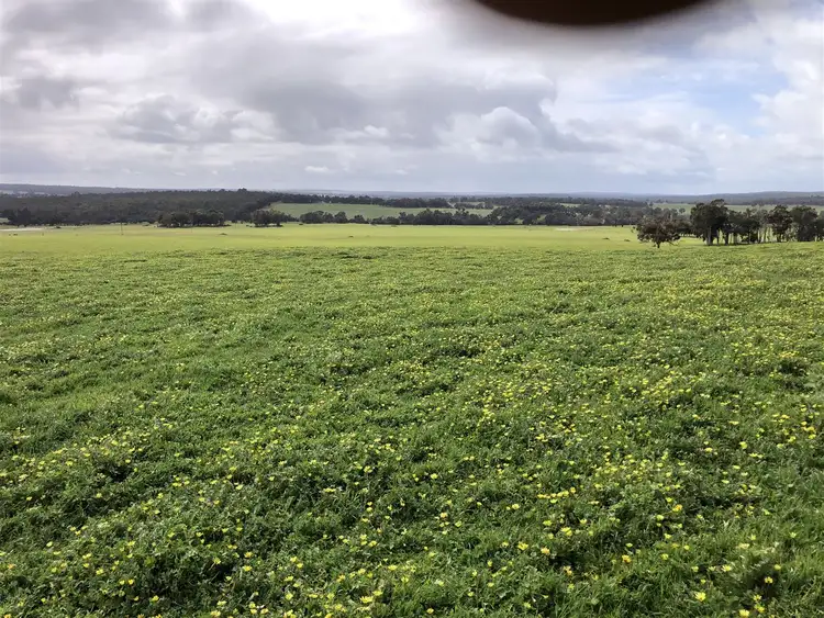 Seventh view of Homely rural property listing, . " Snowdon" Pretty Gully Road, Chowerup WA 6244