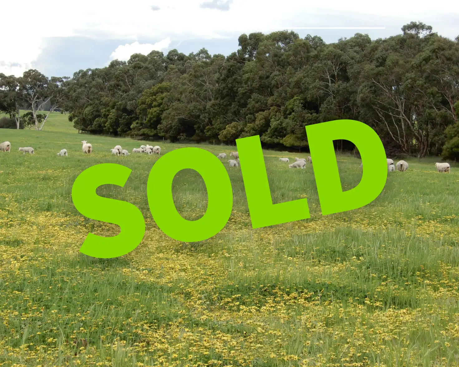 Main view of Homely rural property listing, Sec 317 & 318 Range Road, Naracoorte SA 5271