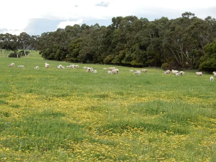 Second view of Homely rural property listing, Sec 317 & 318 Range Road, Naracoorte SA 5271