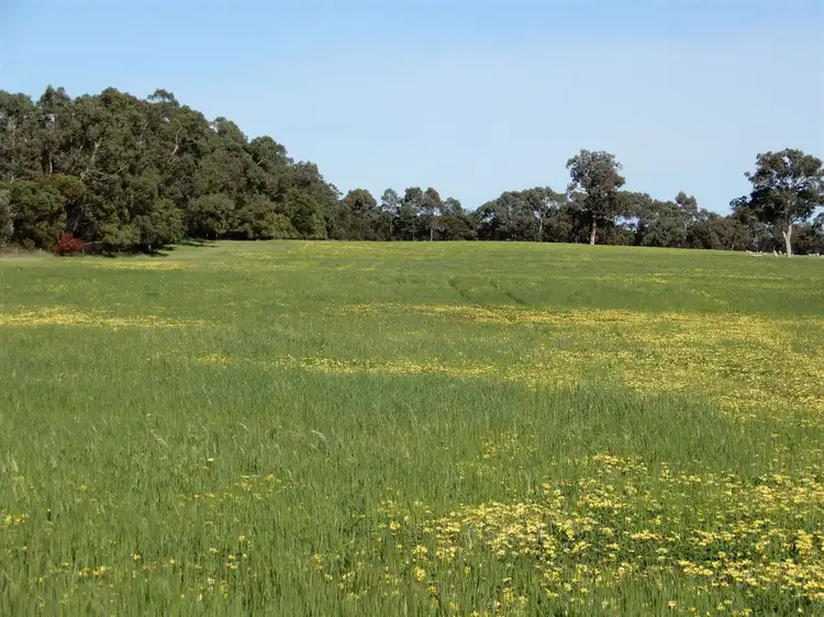 Third view of Homely rural property listing, Sec 317 & 318 Range Road, Naracoorte SA 5271