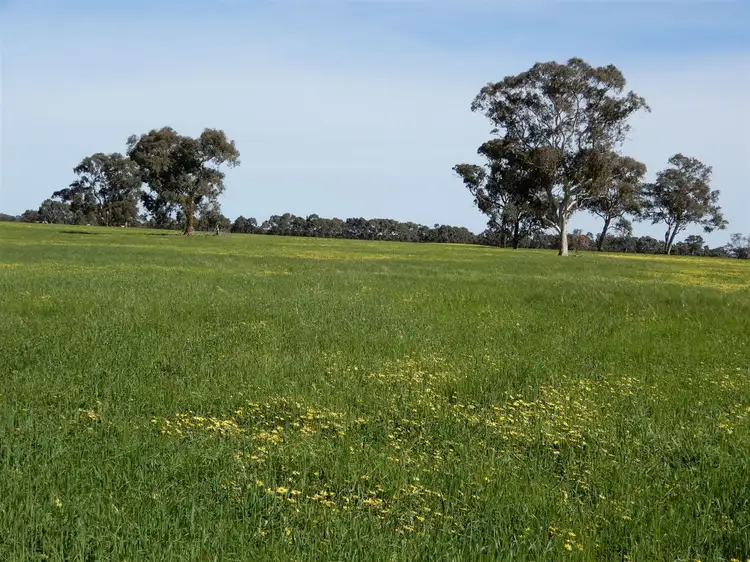 Fourth view of Homely rural property listing, Sec 317 & 318 Range Road, Naracoorte SA 5271