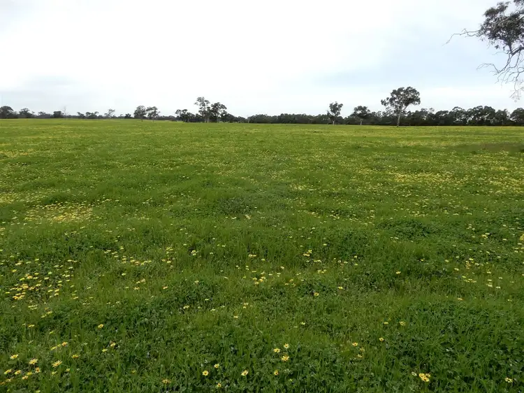 Sixth view of Homely rural property listing, Sec 317 & 318 Range Road, Naracoorte SA 5271