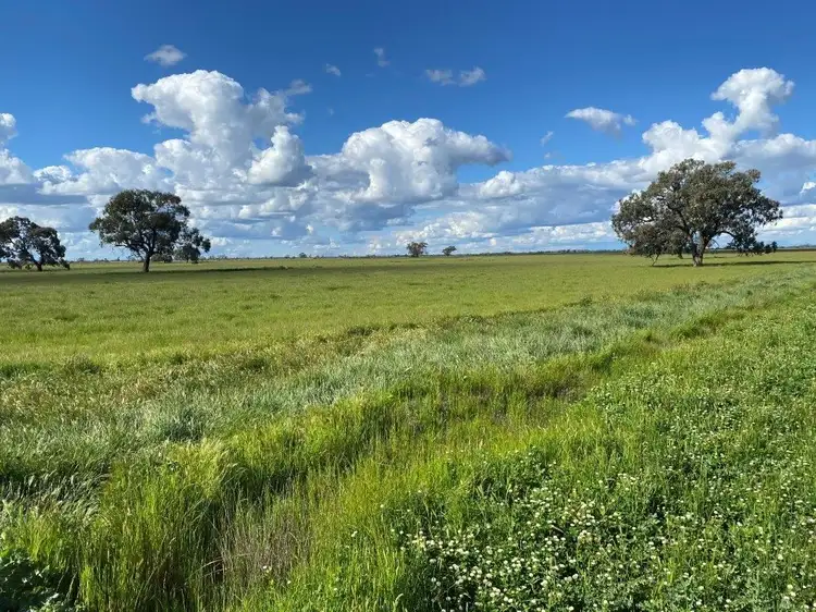 00 Peacock Road, Kerang VIC 3579