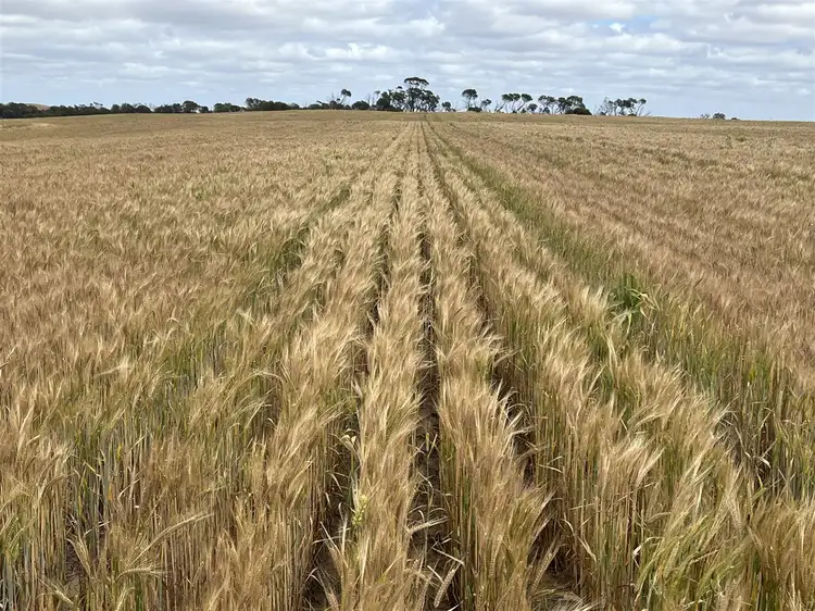 . 'Two Wells', Tammin WA 6409