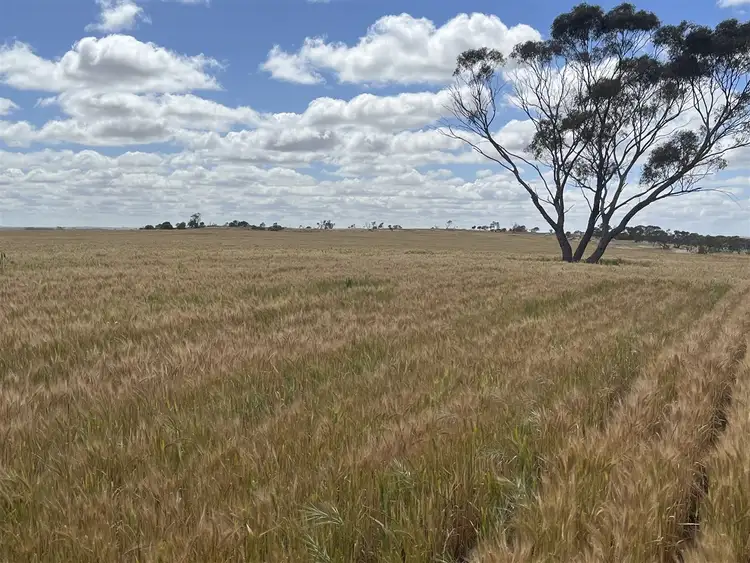 Second view of Homely rural property listing, . 'Two Wells', Tammin WA 6409