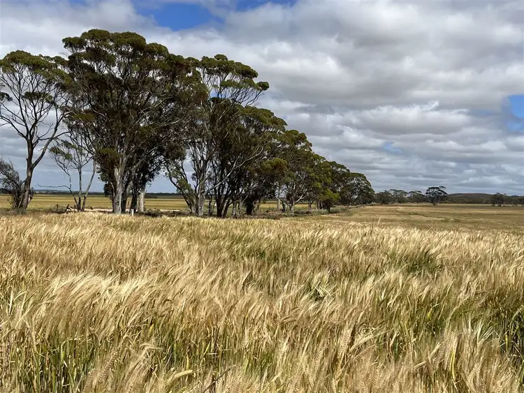 Third view of Homely rural property listing, . 'Two Wells', Tammin WA 6409