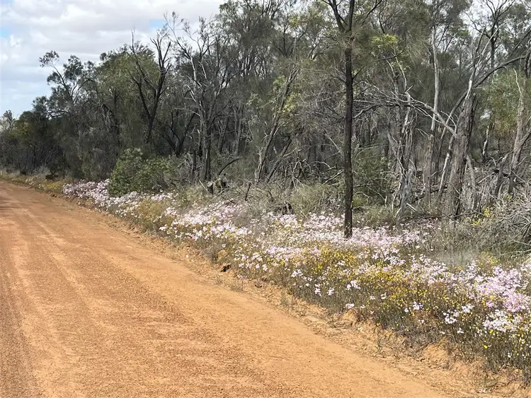 Fourth view of Homely rural property listing, . 'Two Wells', Tammin WA 6409