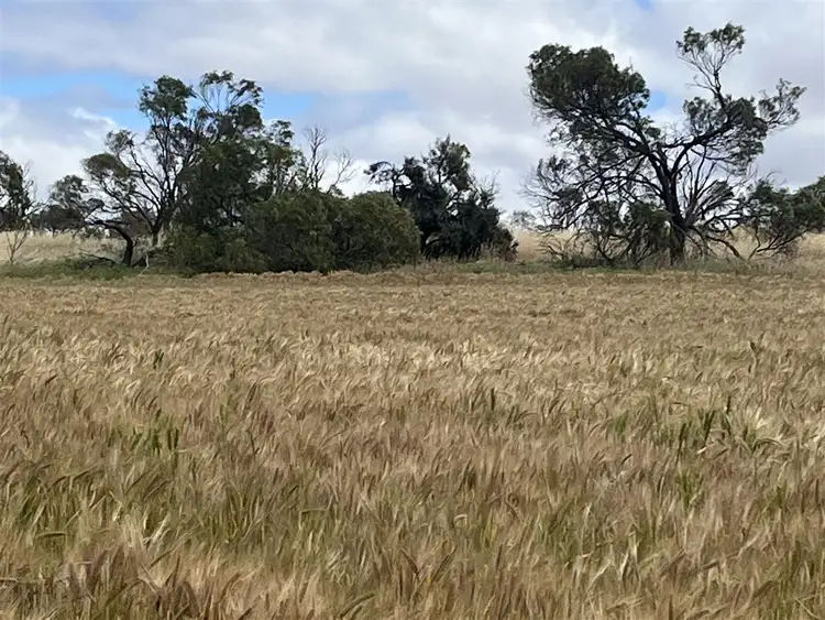 Fifth view of Homely rural property listing, . 'Two Wells', Tammin WA 6409