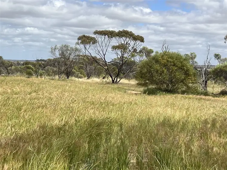 Sixth view of Homely rural property listing, . 'Two Wells', Tammin WA 6409