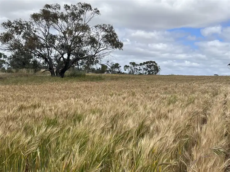 Seventh view of Homely rural property listing, . 'Two Wells', Tammin WA 6409