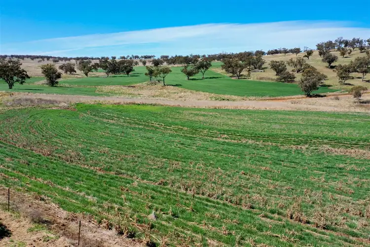 Second view of Homely rural property listing, 'Valley View' Racecourse Road, Cassilis NSW 2329