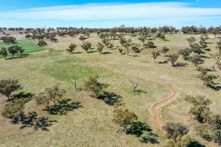 Second view of Homely rural property listing, 'South Hill' Racecourse Road, Cassilis NSW 2329
