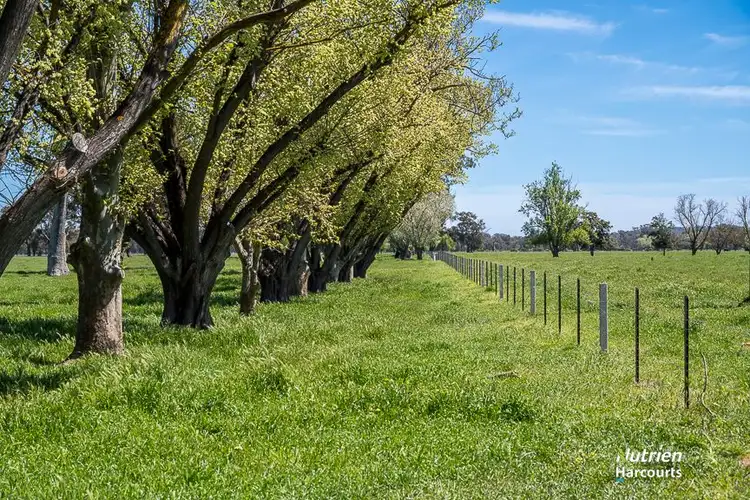 Fourth view of Homely rural property listing, 3390 Midland Highway, Stewarton VIC 3725