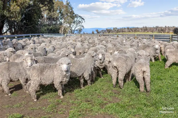 Second view of Homely rural property listing, 411 Bryants Lane, Deddington TAS 7212