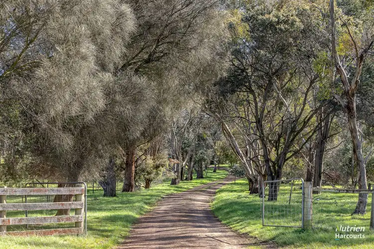 Sixth view of Homely rural property listing, 411 Bryants Lane, Deddington TAS 7212