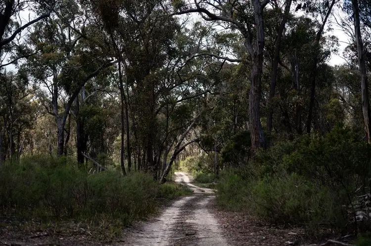 1331 Mount McKenzie Road, Tenterfield NSW 2372