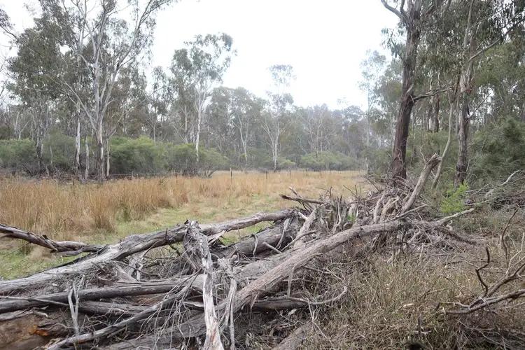 Second view of Homely rural property listing, 1331 Mount McKenzie Road, Tenterfield NSW 2372