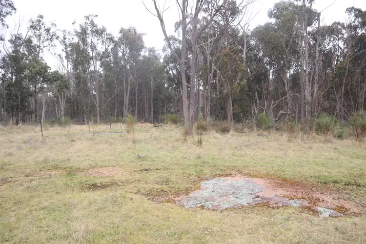 Fourth view of Homely rural property listing, 1331 Mount McKenzie Road, Tenterfield NSW 2372