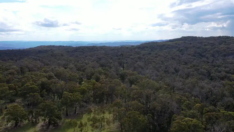 Sixth view of Homely rural property listing, 1331 Mount McKenzie Road, Tenterfield NSW 2372