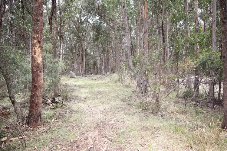 Seventh view of Homely rural property listing, 1331 Mount McKenzie Road, Tenterfield NSW 2372