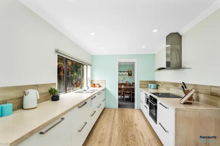 Main view of Homely house listing, 14 Chestnut Crescent, Bidwill NSW 2770