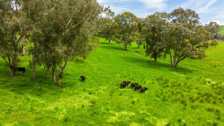 Second view of Homely rural property listing, Lot 4\PS701057 Schultz Lane, Sandy Creek VIC 3695