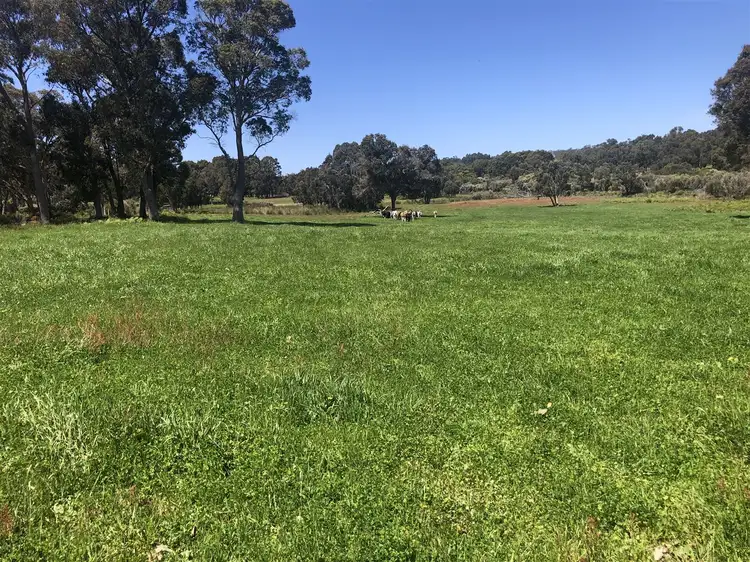 Main view of Homely rural property listing, "Sweetberry" Riverway Road, Northcliffe WA 6262