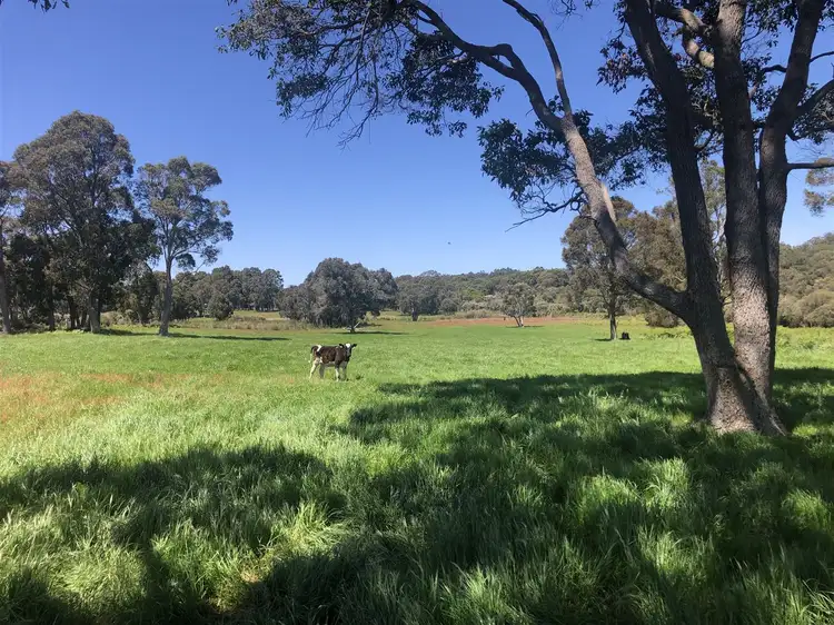 Second view of Homely rural property listing, "Sweetberry" Riverway Road, Northcliffe WA 6262